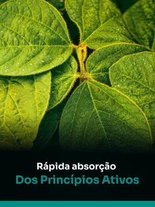 Rápida absorção dos princípios ativos